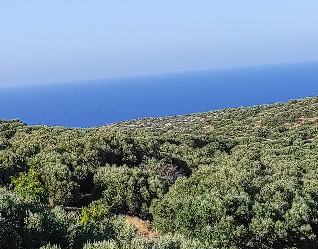 Almond Tree Villa upper terrace with Cretan Sea view